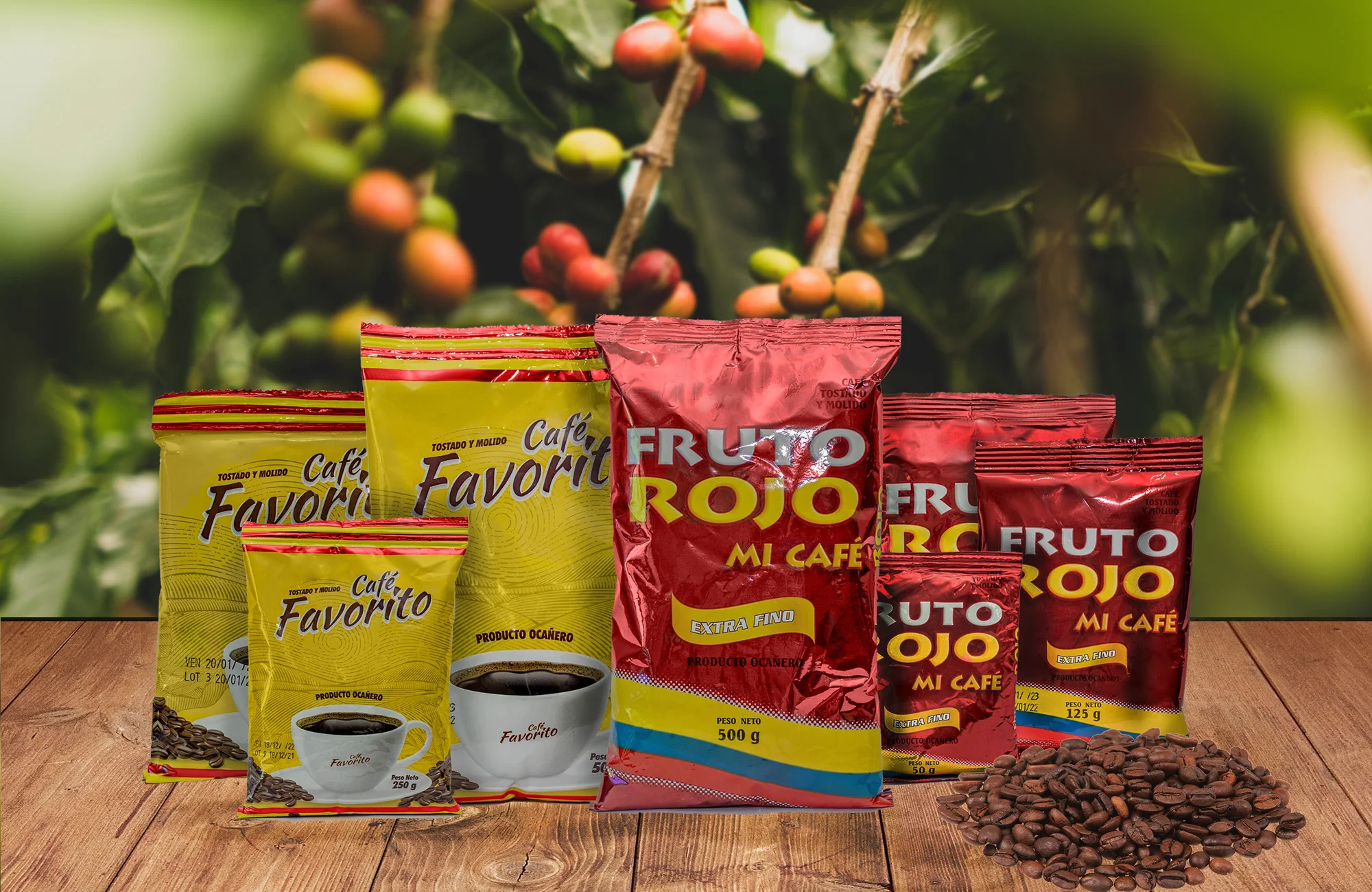 Toda la familia de presentaciones de Fruto Rojo Mi Café y Café Favorito sobre una mesa de madera